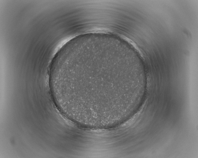 X0000114121066200911161134