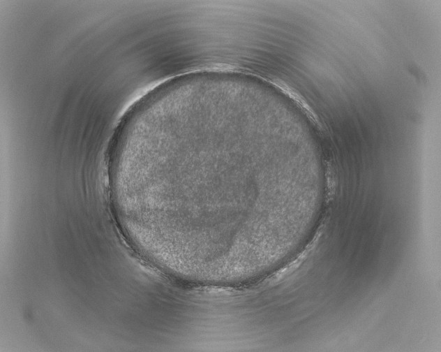 X0000114121070200911161134