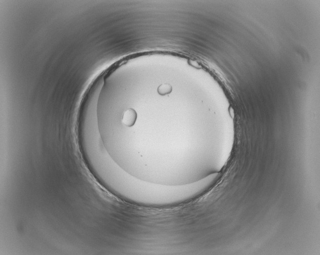 X0000114121072200911161134