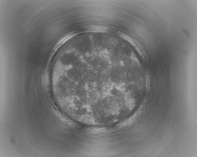 X0000114121074200911161134