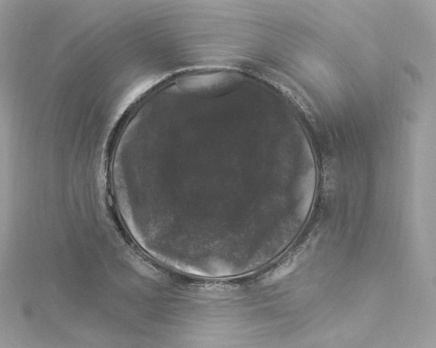 X0000114121077200911161134