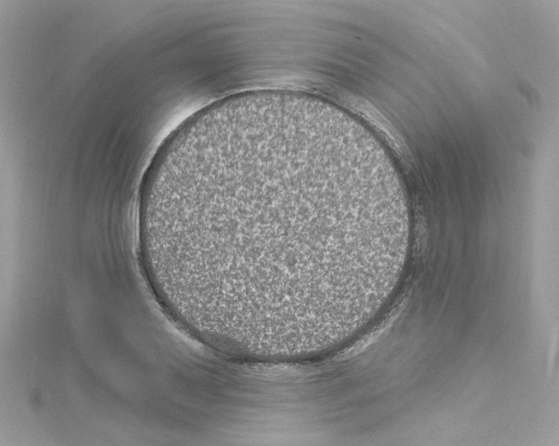 X0000114121079200911161134