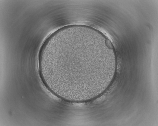 X0000114121080200911161134