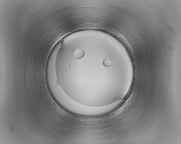 X0000114121081200911161134