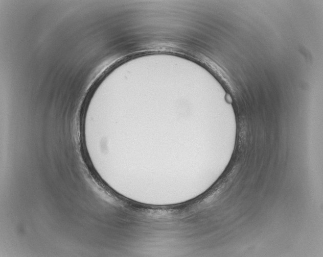 X0000114121082200911161134