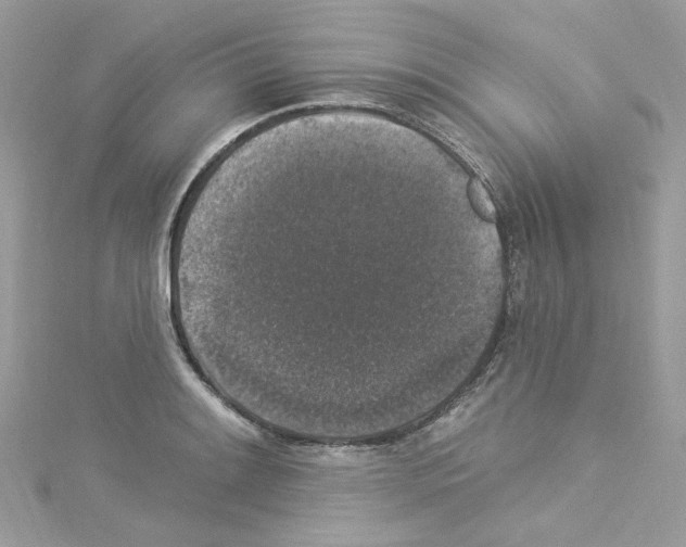 X0000114121084200911161134