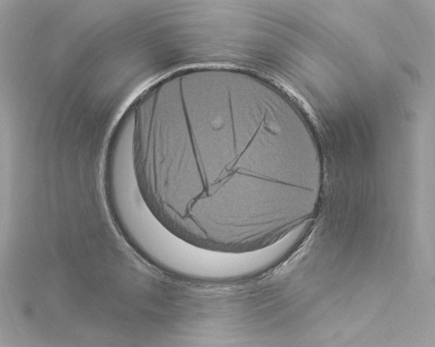 X0000114121085200911161134