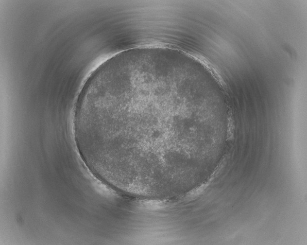 X0000114121086200911161134