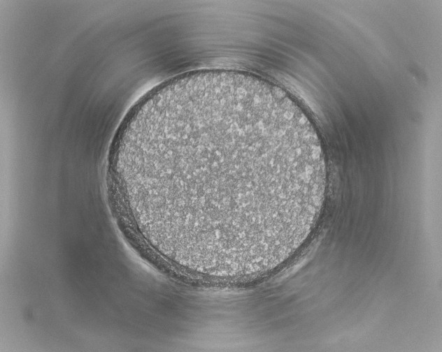 X0000114121087200911161134