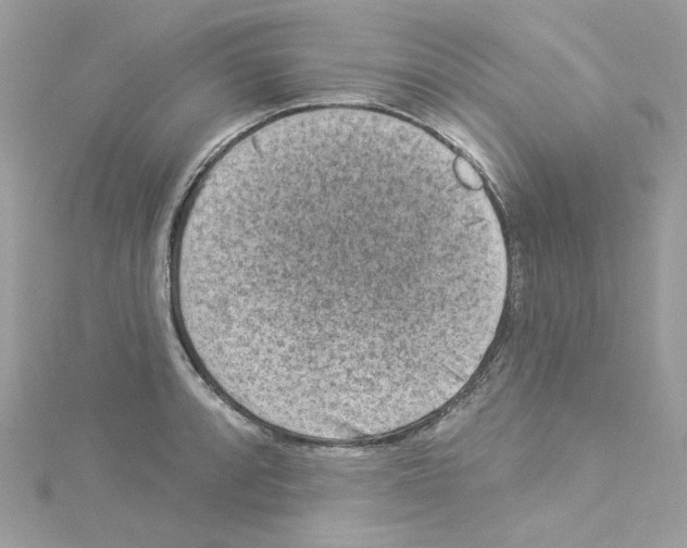 X0000114121088200911161134