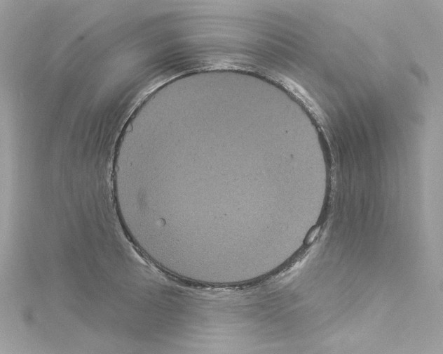 X0000114121089200911161134