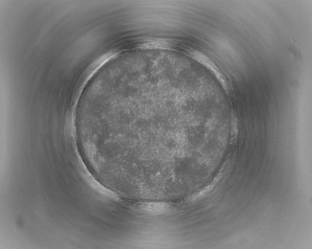 X0000114121090200911161134