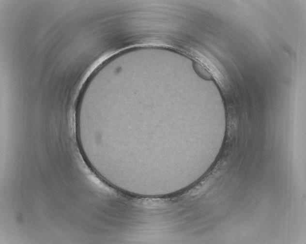 X0000114121092200911161134