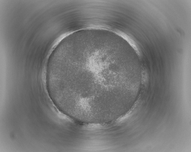 X0000114121094200911161134