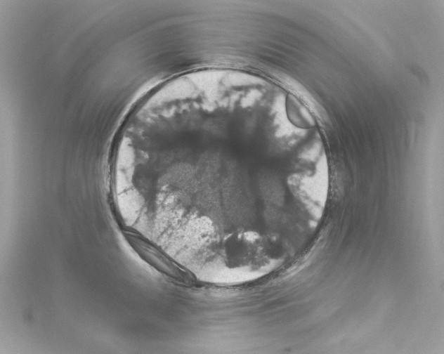 X0000114121095200911161134