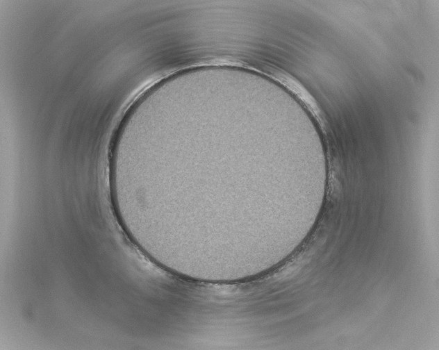 X0000114121096200911161134