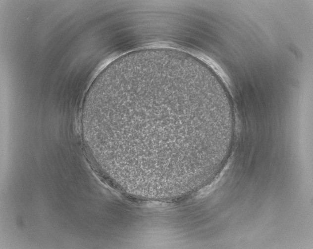 X0000114121097200911161134