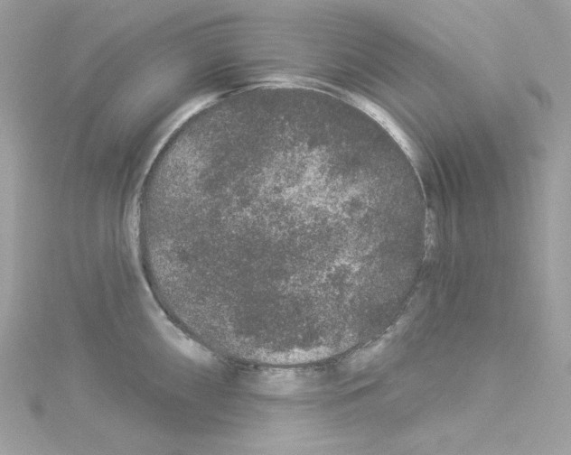 X0000114121098200911161134