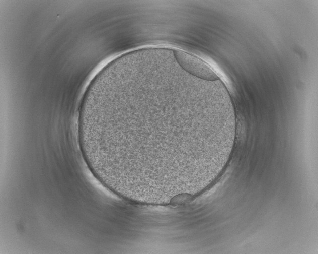 X0000114121100200911161134