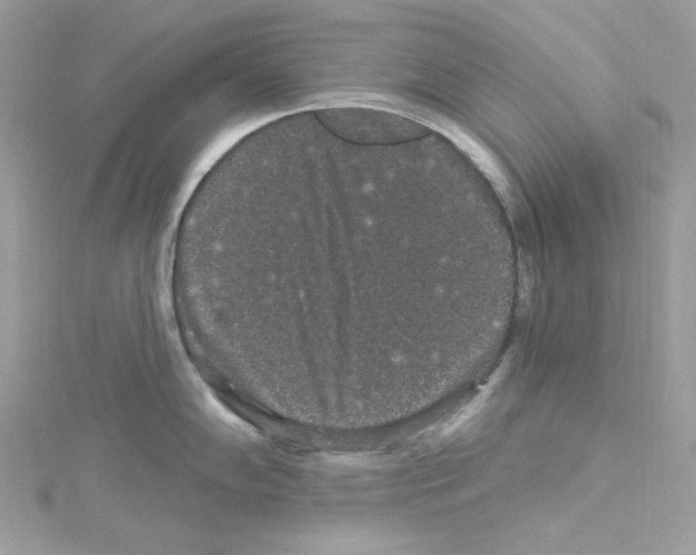 X0000114121102200911161134