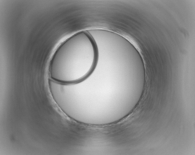 X0000114121104200911161134