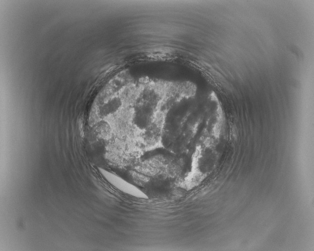 X0000114121106200911161133