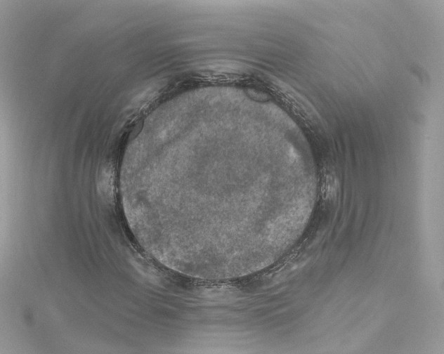 X0000114121108200911161133