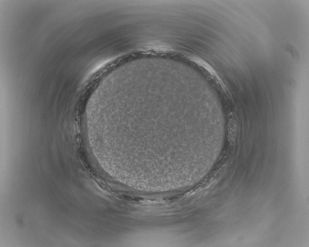 X0000114121112200911161133