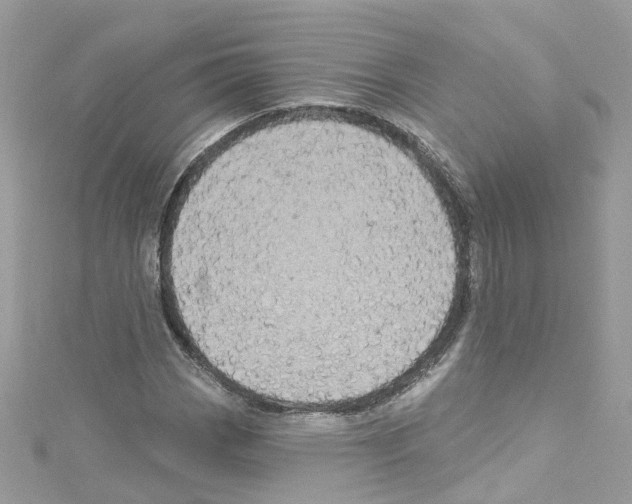 X0000114121113200911161133