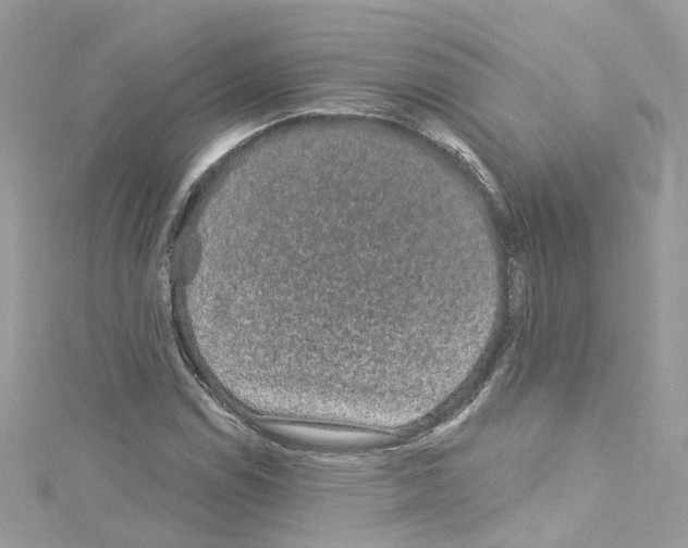 X0000114121114200911161133