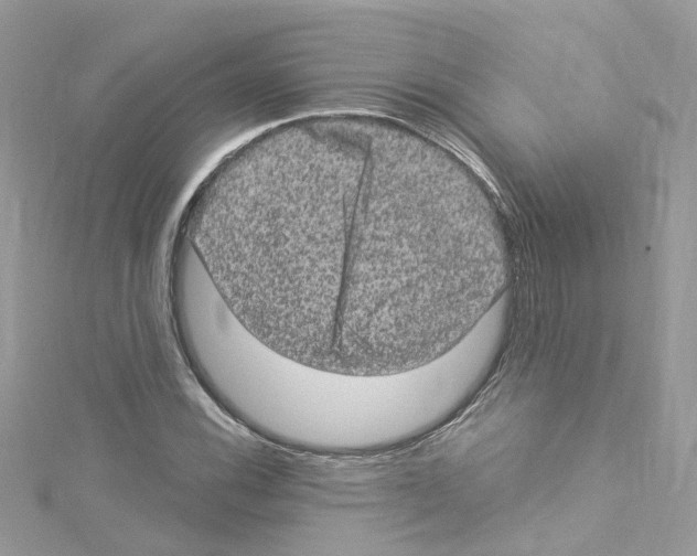 X0000114121116200911161133