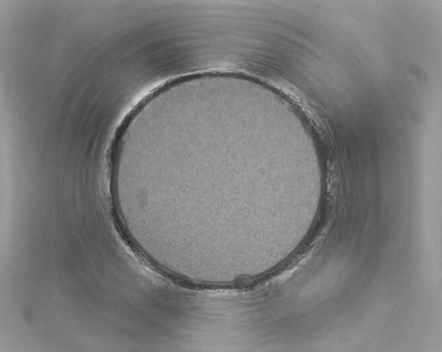 X0000114121118200911161133