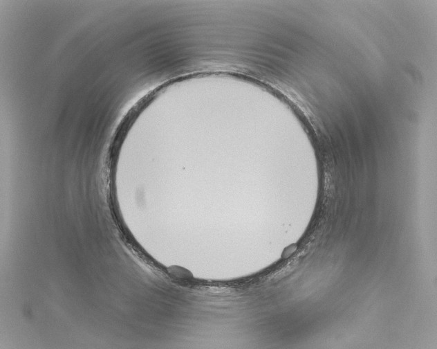 X0000114121119200911161133