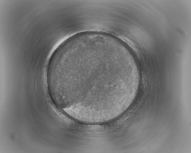 X0000114121120200911161133