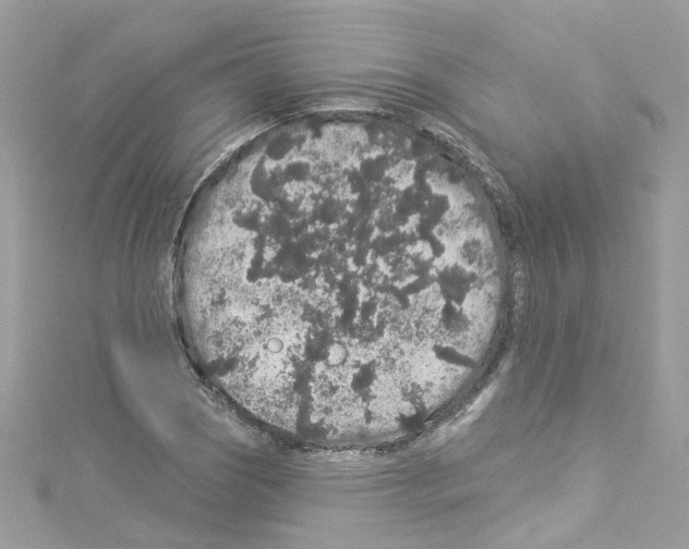 X0000114121121200911161133