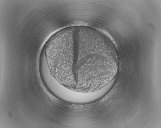 X0000114121124200911161133