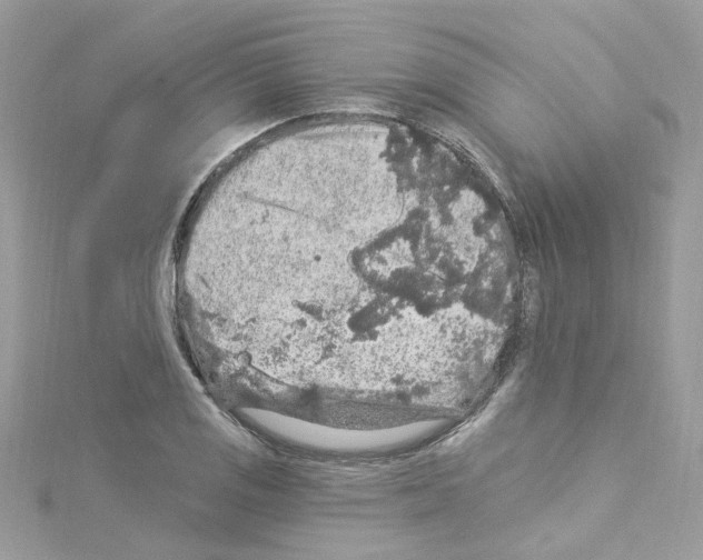 X0000114121125200911161133