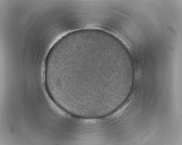 X0000114121126200911161133