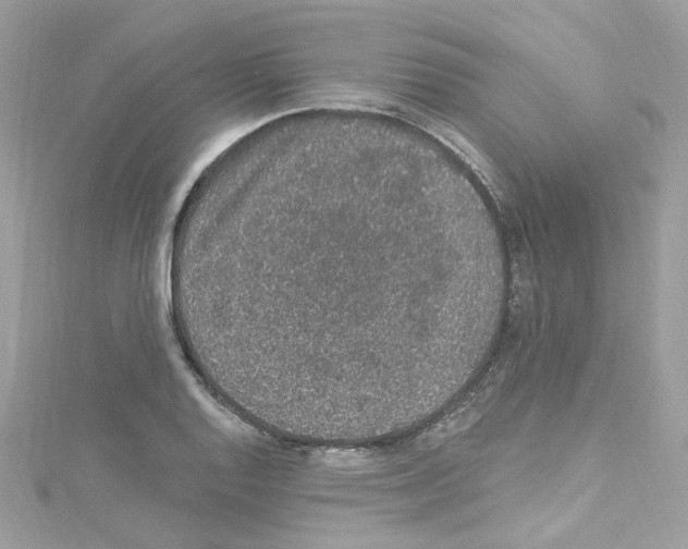 X0000114121128200911161133