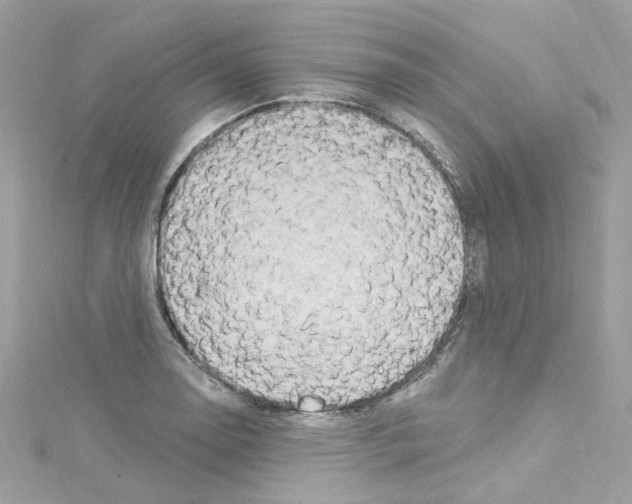 X0000114121130200911161133