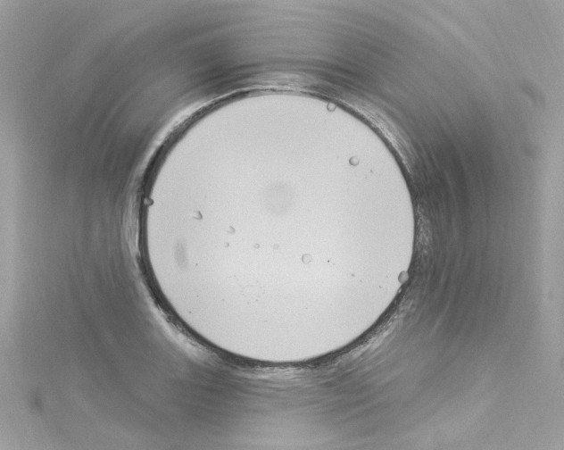 X0000114121131200911161133