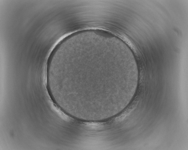 X0000114121132200911161133