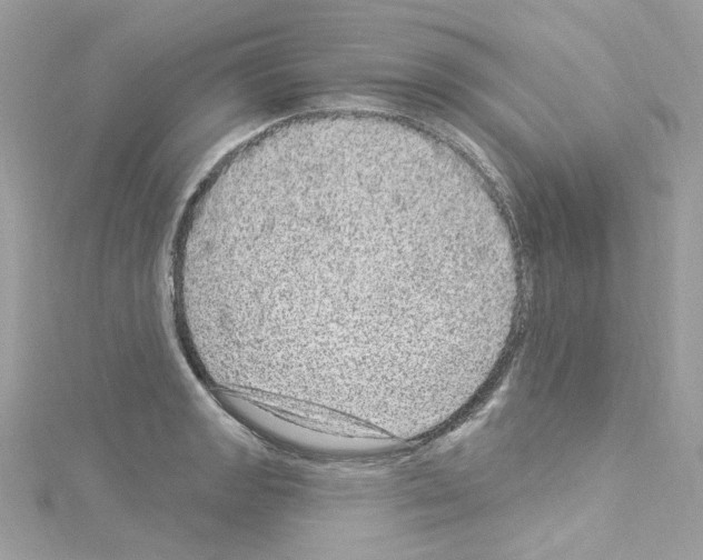 X0000114121133200911161133