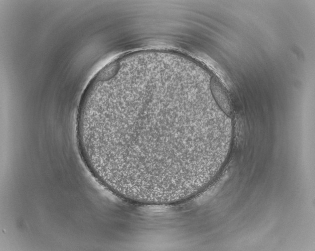 X0000114121134200911161133