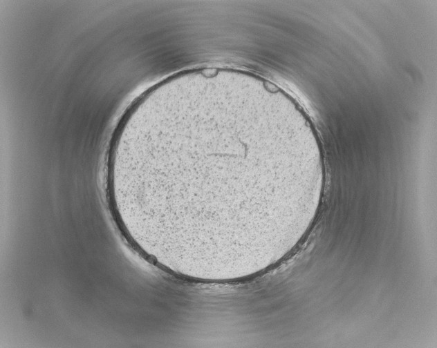 X0000114121136200911161133