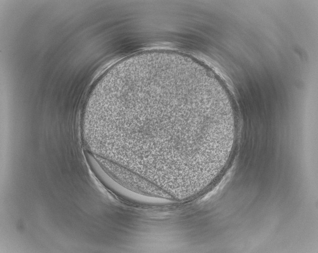 X0000114121137200911161133