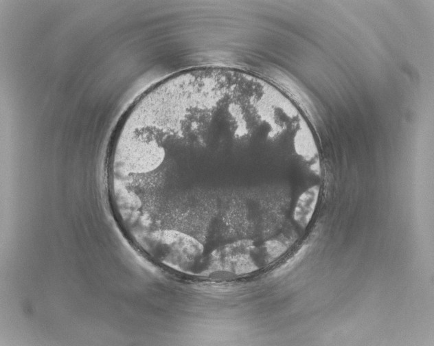 X0000114121141200911161134