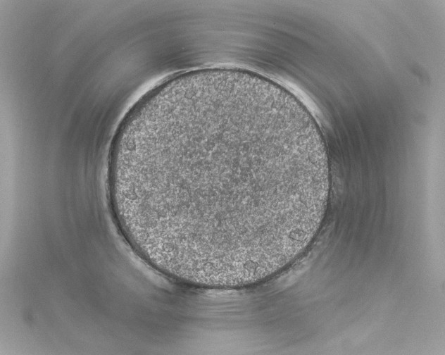 X0000114121142200911161134