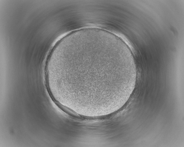 X0000114121143200911161134