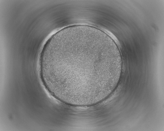 X0000114121144200911161134